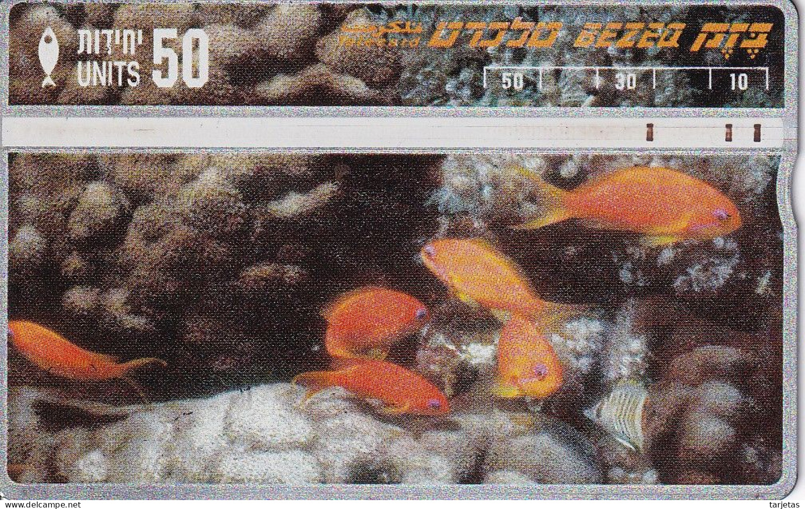 TARJETA DE ISRAEL DE UNOS PECES (FISH-PEZ) - Poissons