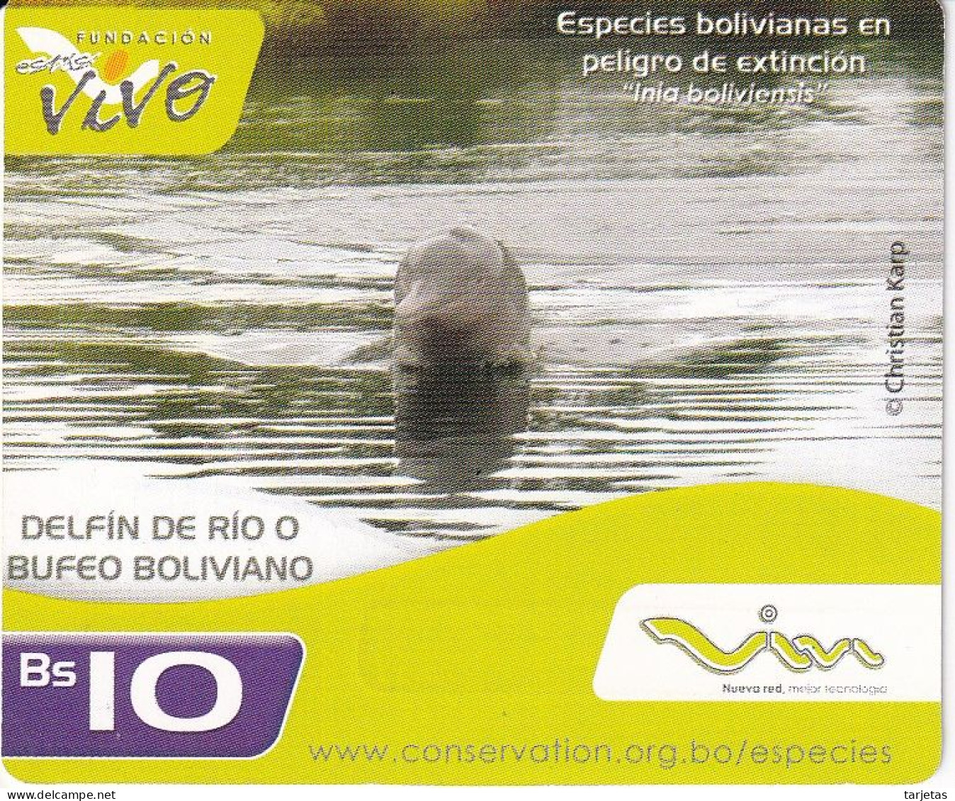 TARJETA DE BOLIVIA DE UN DELFÍN (DOLPHIN) - Peces