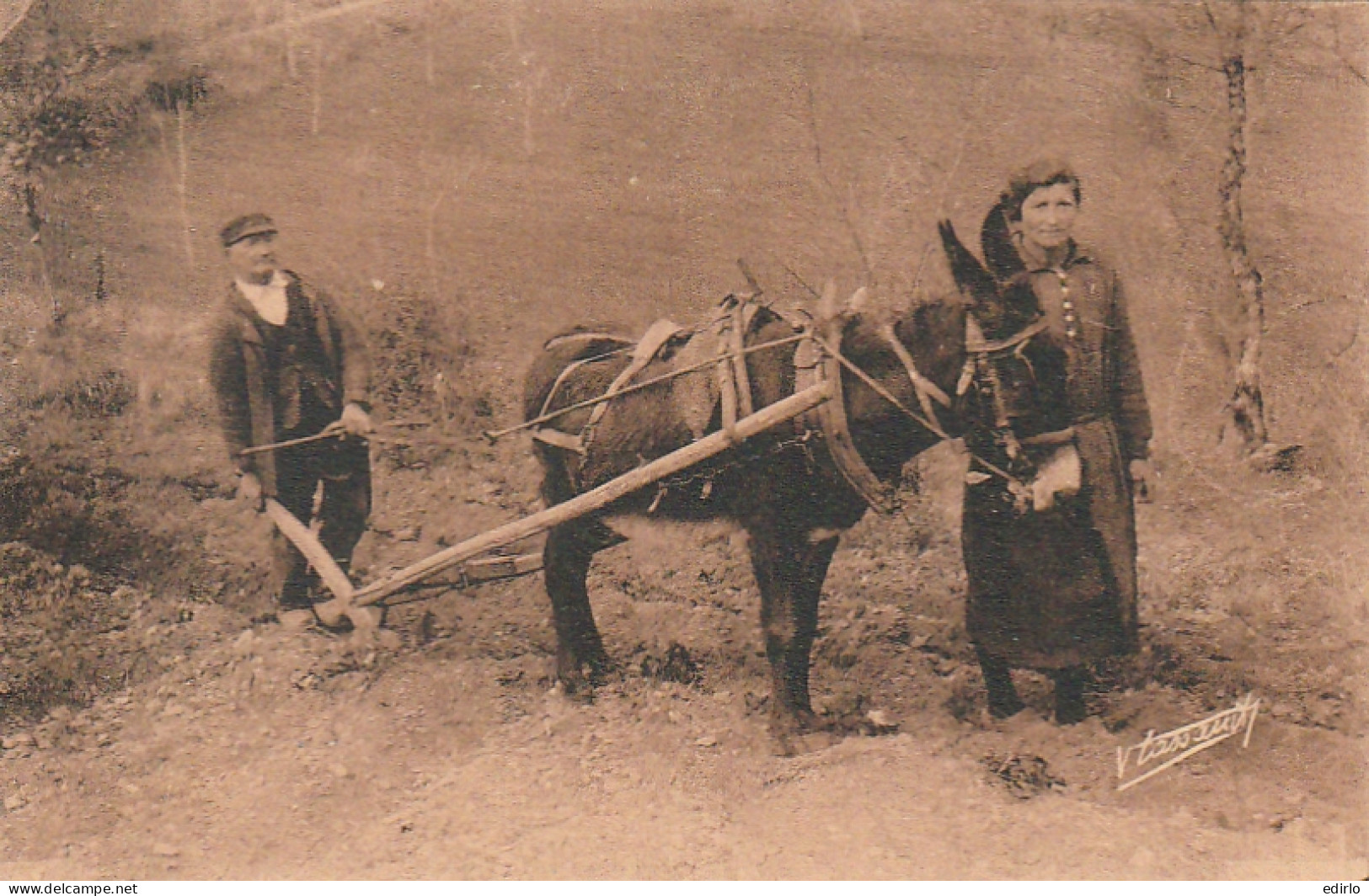 *** 24  ***    En Périgord   Labourage Rustique -- Neuve TTB  - Cultures