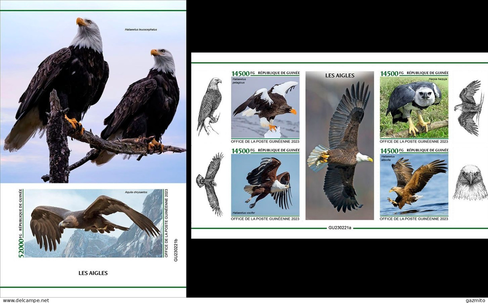 Guinea 2023, Animals, Eagles, 4val In BF +BF IMPERFORATED - Aigles & Rapaces Diurnes