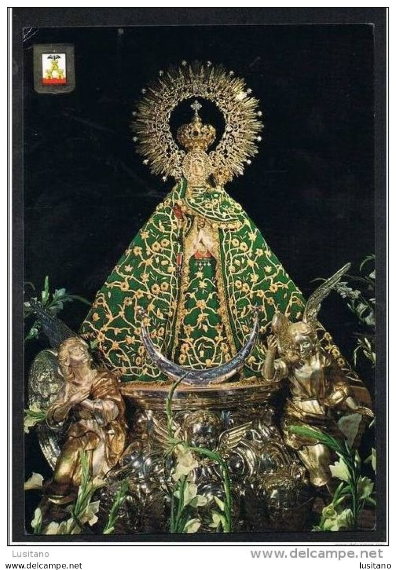 Albacete - Nuestra Senora De Los Llanos Vierge - Espana - Albacete