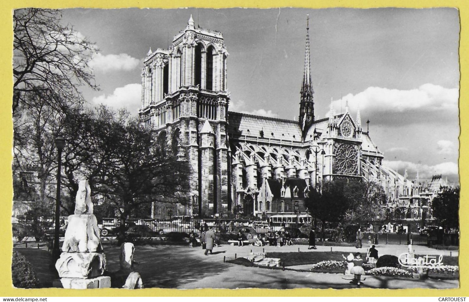 CPSM PARIS NOTRE DAME De PARIS  Square VIVIANI Animé Bus Car Auto - Notre Dame De Paris