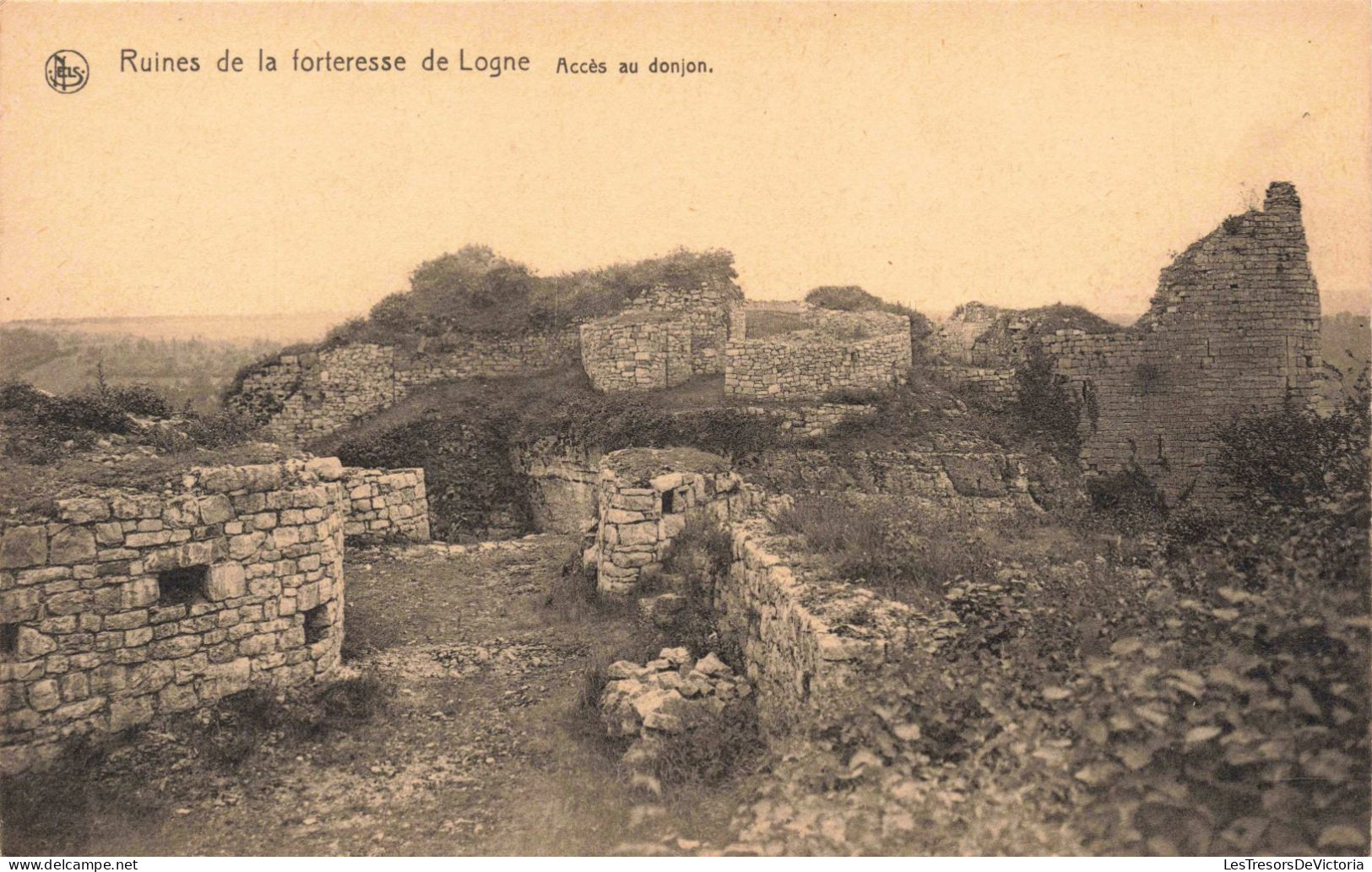 BELGIQUE - Ruines De La Forteresse De Logne - Accès Au Donjon - Carte Postale Ancienne - Durbuy