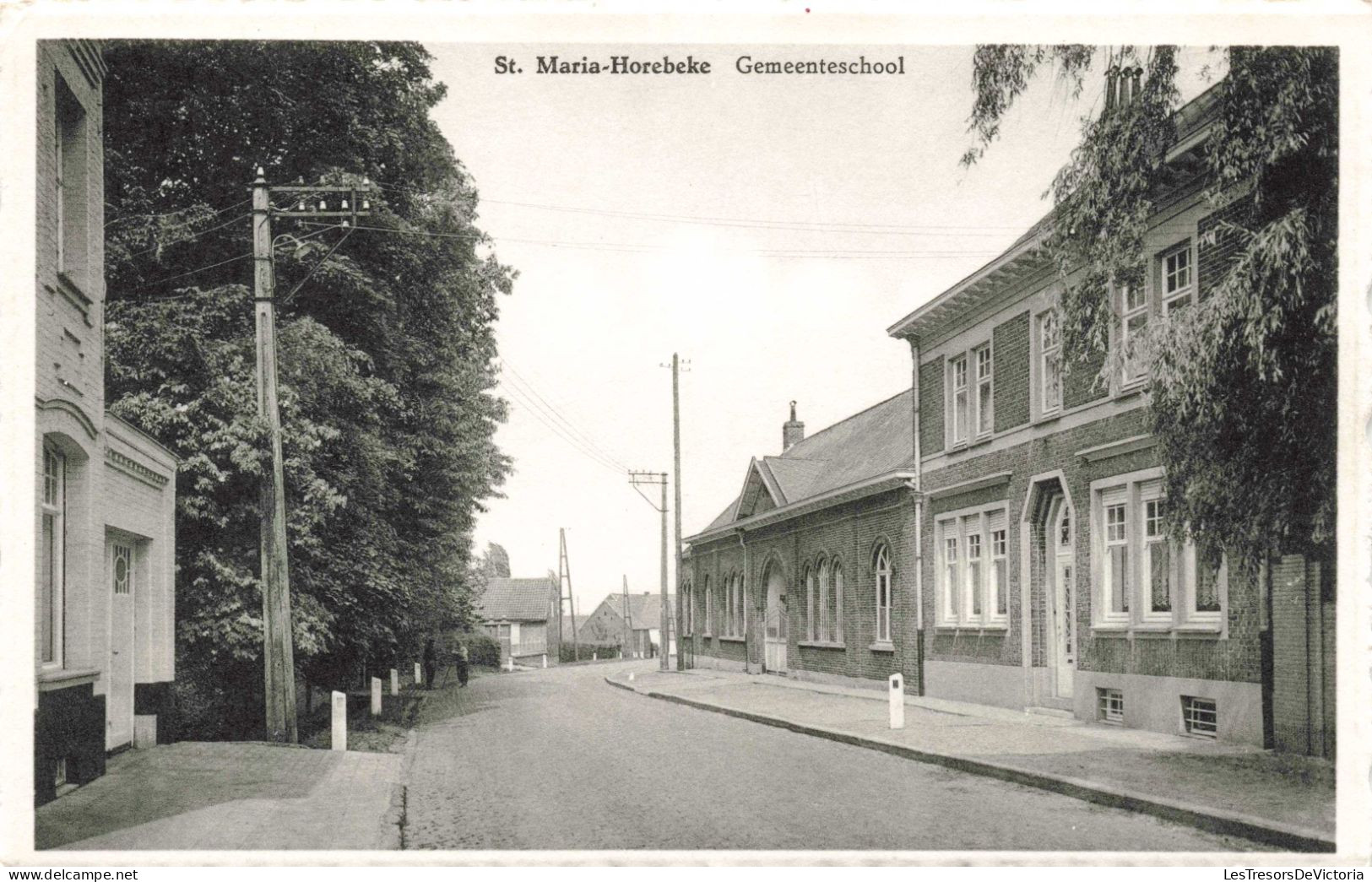 BELGIQUE - St Maria Horebeke - Gemeenteschool - Carte Postale Ancienne - Horebeke