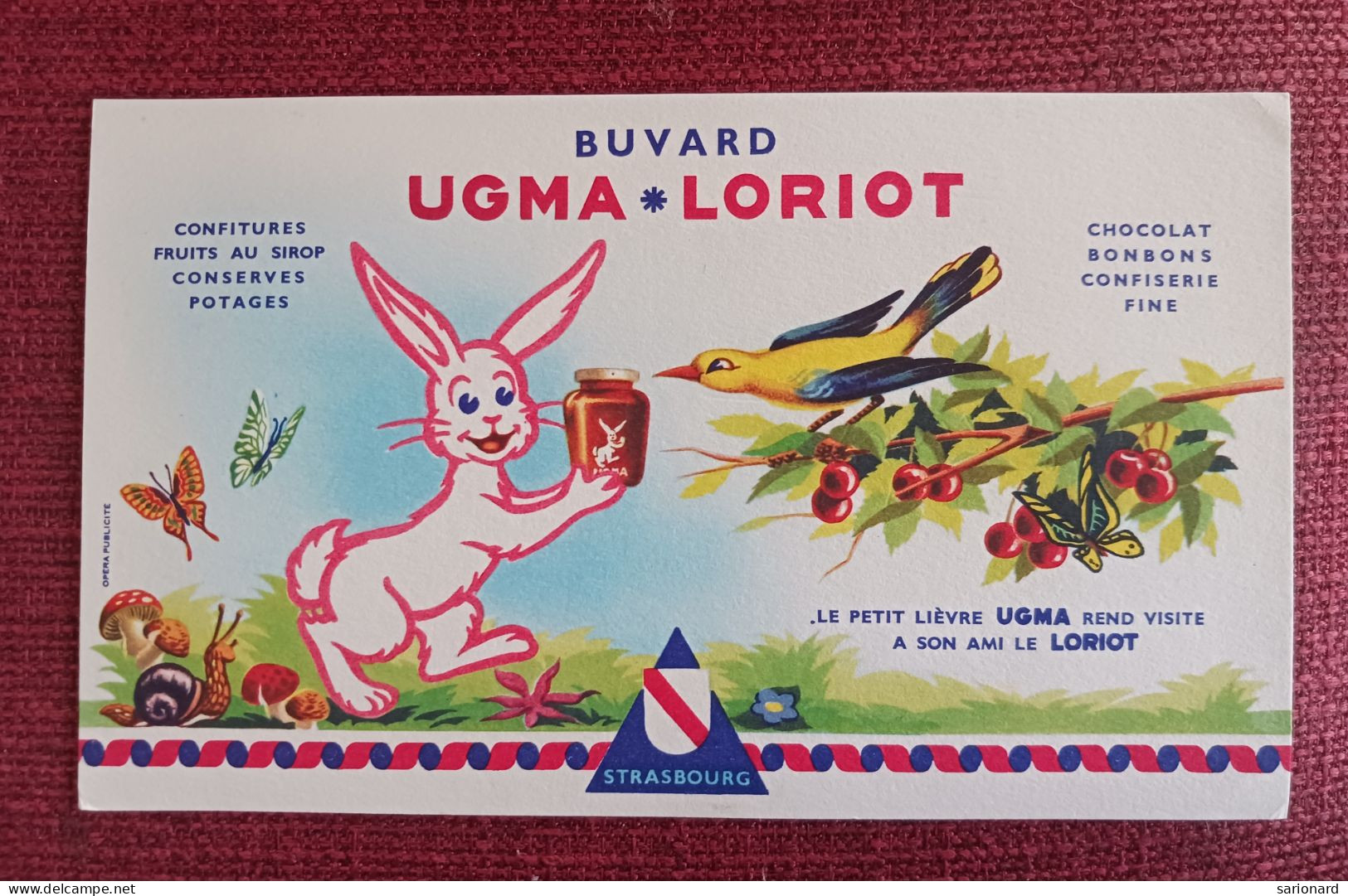 Buvard Ugma Loriot Strasbourg Le Petit Lièvre - Cacao