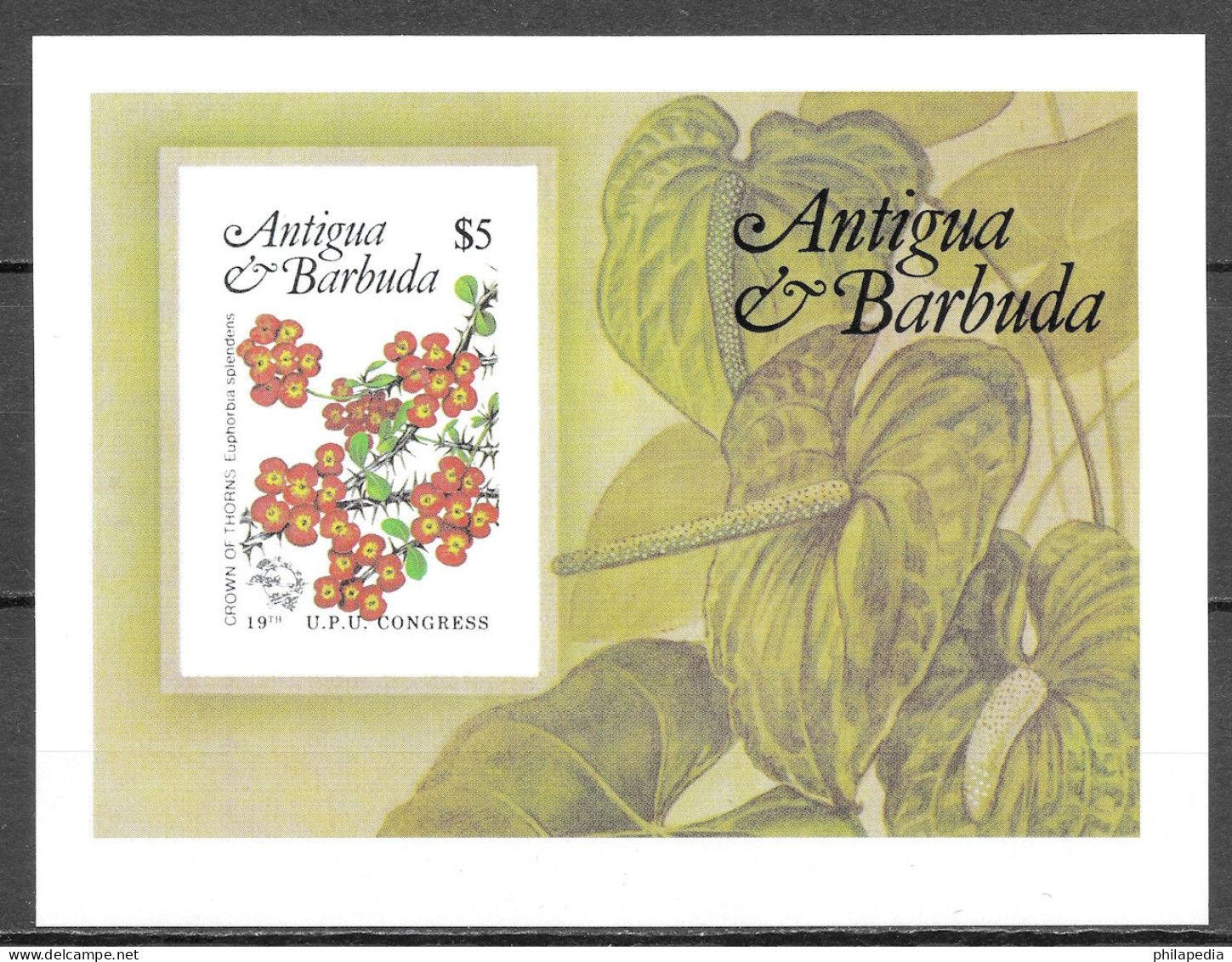 Antigua & Barbuda UPU Flore Fleur Plante Toxique Couronne Christ Non Dentelé Poisonous Plants Imperf Proof ** 1984 60€ - Plantas Tóxicas