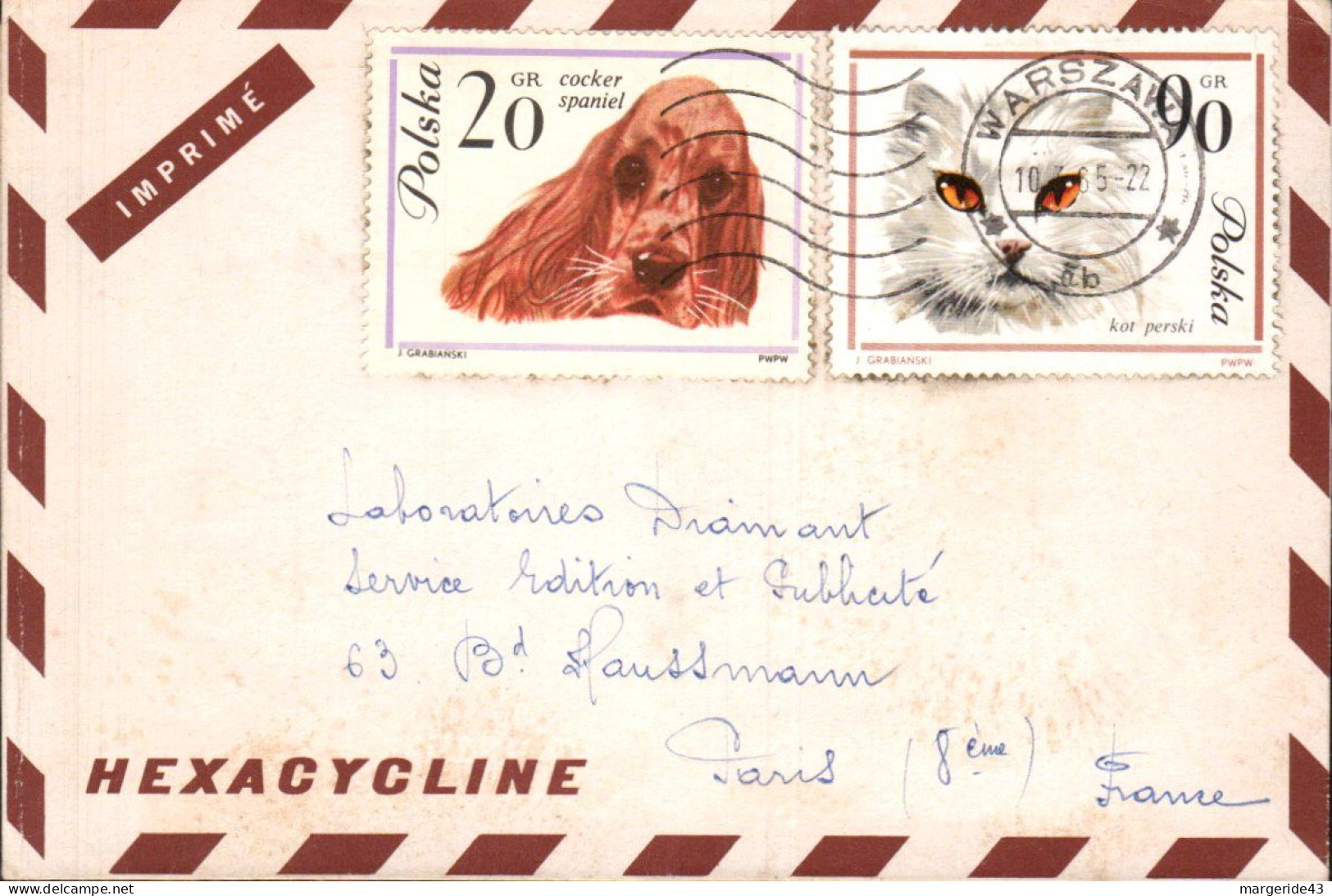 POLOGNE 1965 3 LETTRE DE LABORATOIRE - SERIE CHIENS - Storia Postale