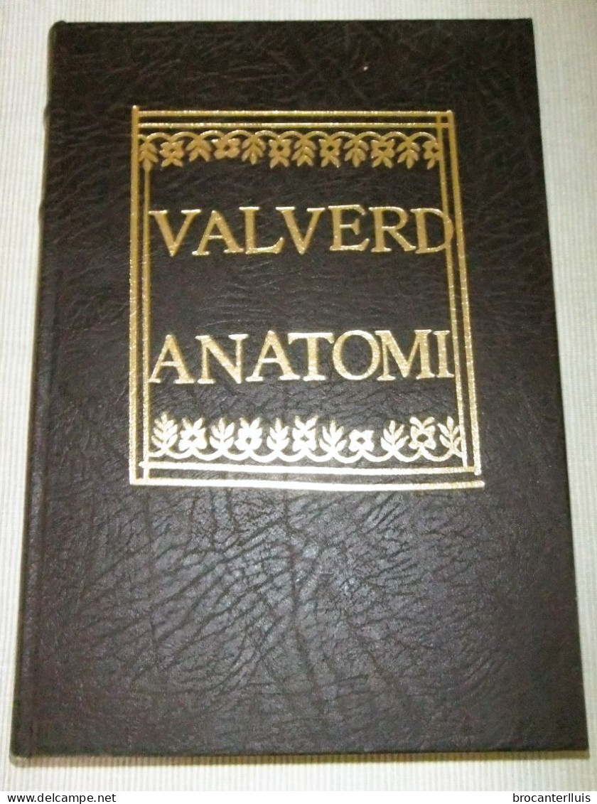 ANATOMIA DEL CUERPO HUMANO De JUAN VALVERDE 1560 FACSIMIL (NUEVO) - Livres Anciens