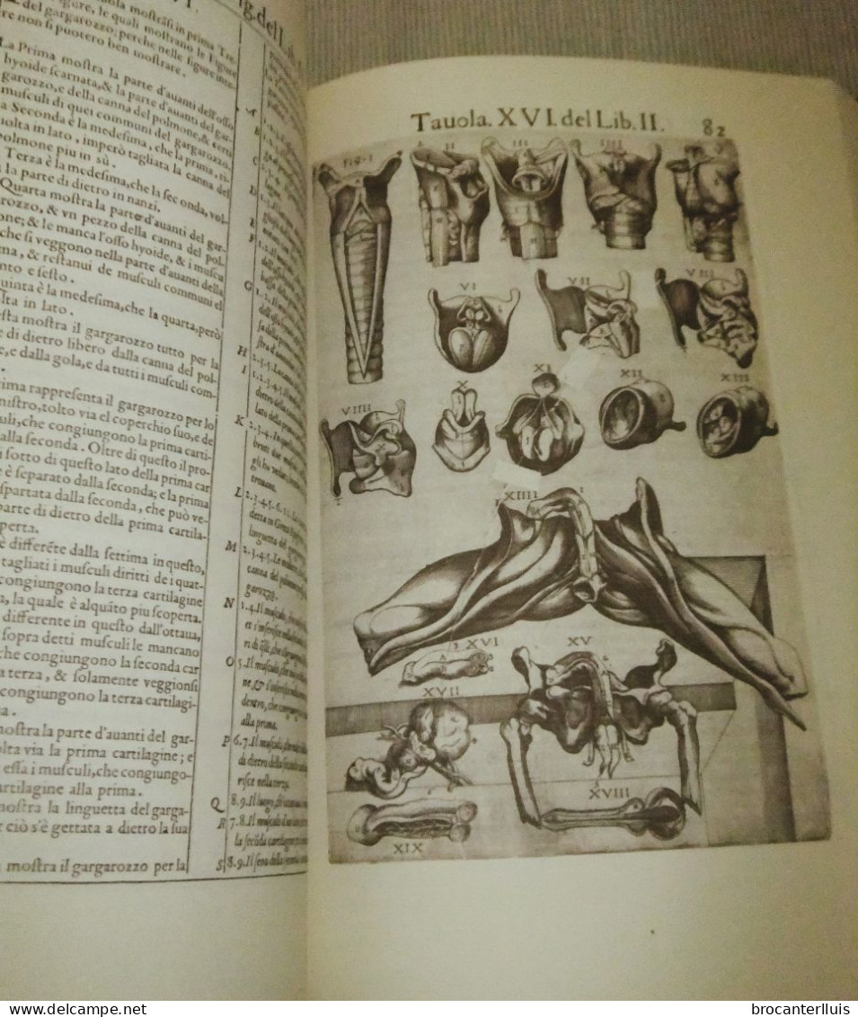 ANATOMIA DEL CUERPO HUMANO de JUAN VALVERDE 1560 FACSIMIL (NUEVO)