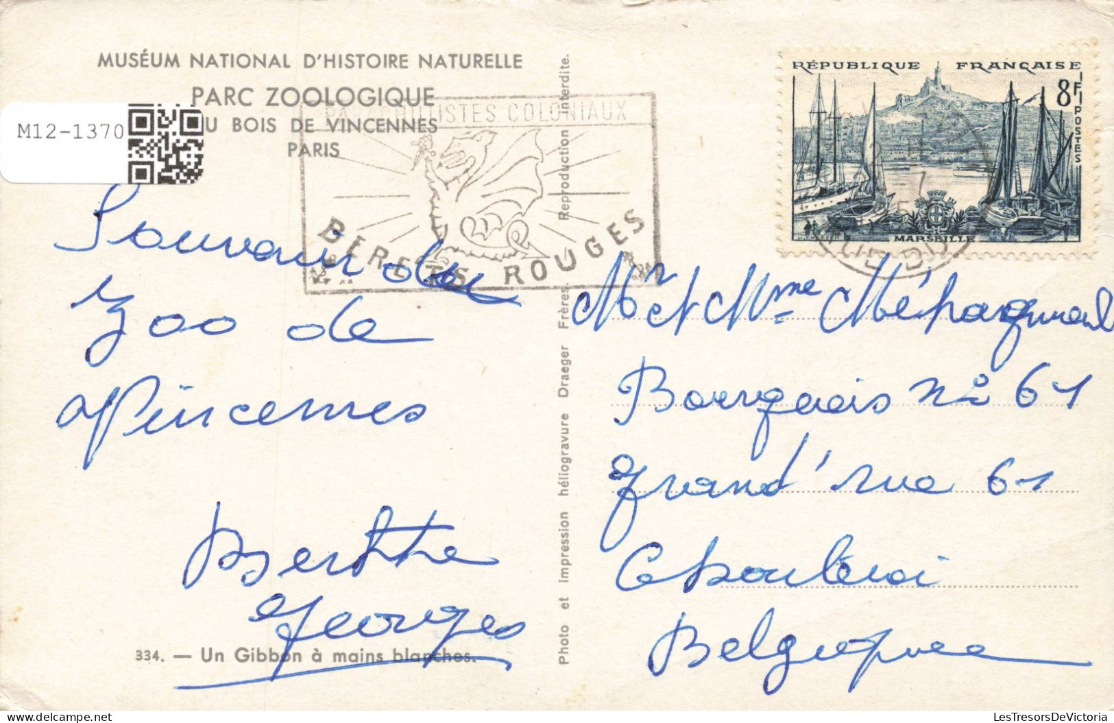 FRANCE - Paris - Parc Zoologique - Bois De Vincennes - Carte Postale Ancienne - Parks, Gärten