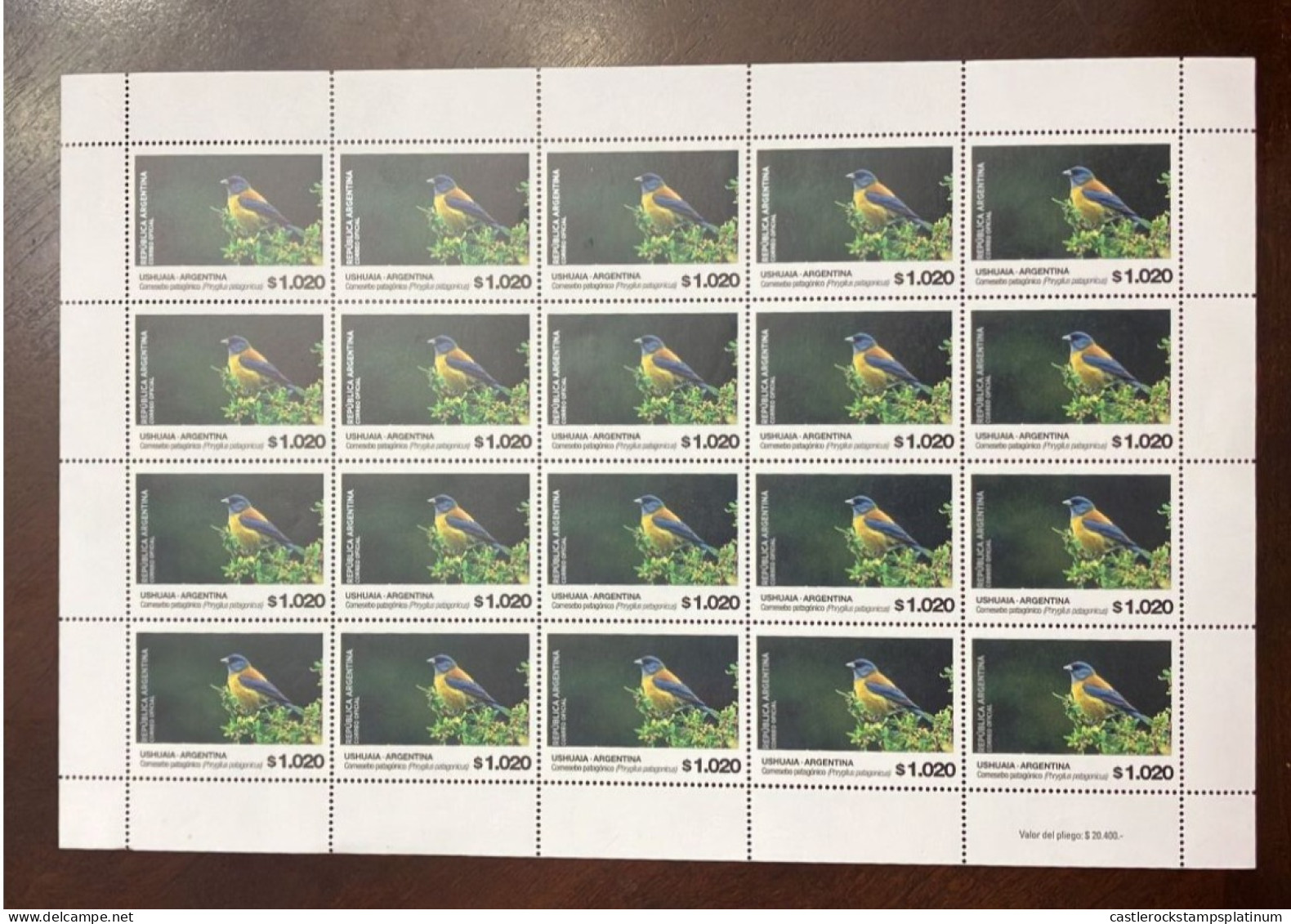 P) 2023 ARGENTINA, PATAGONIA BIRD, ENDEMIC SPECIES, FULL SHEET, MNH - Otros & Sin Clasificación