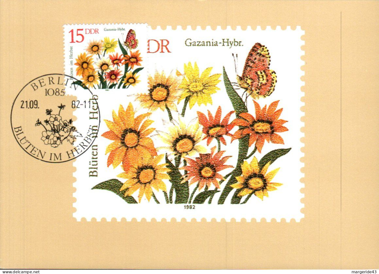 ALLEMAGNE RDA DDR CARTE MAXIMUM 1982 FLEUR GAZANIA - HYBR. - Maximum Cards