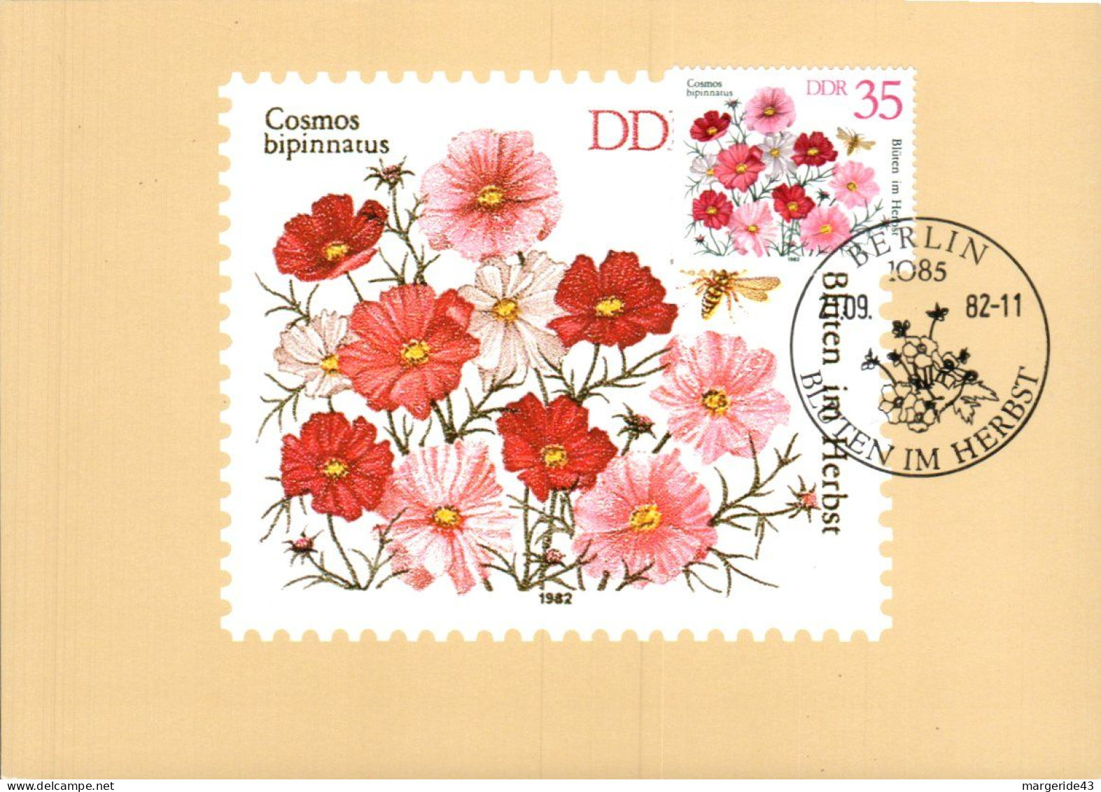 ALLEMAGNE RDA DDR CARTE MAXIMUM 1982 FLEUR COSMOS BIPINNATUS - Maximum Cards