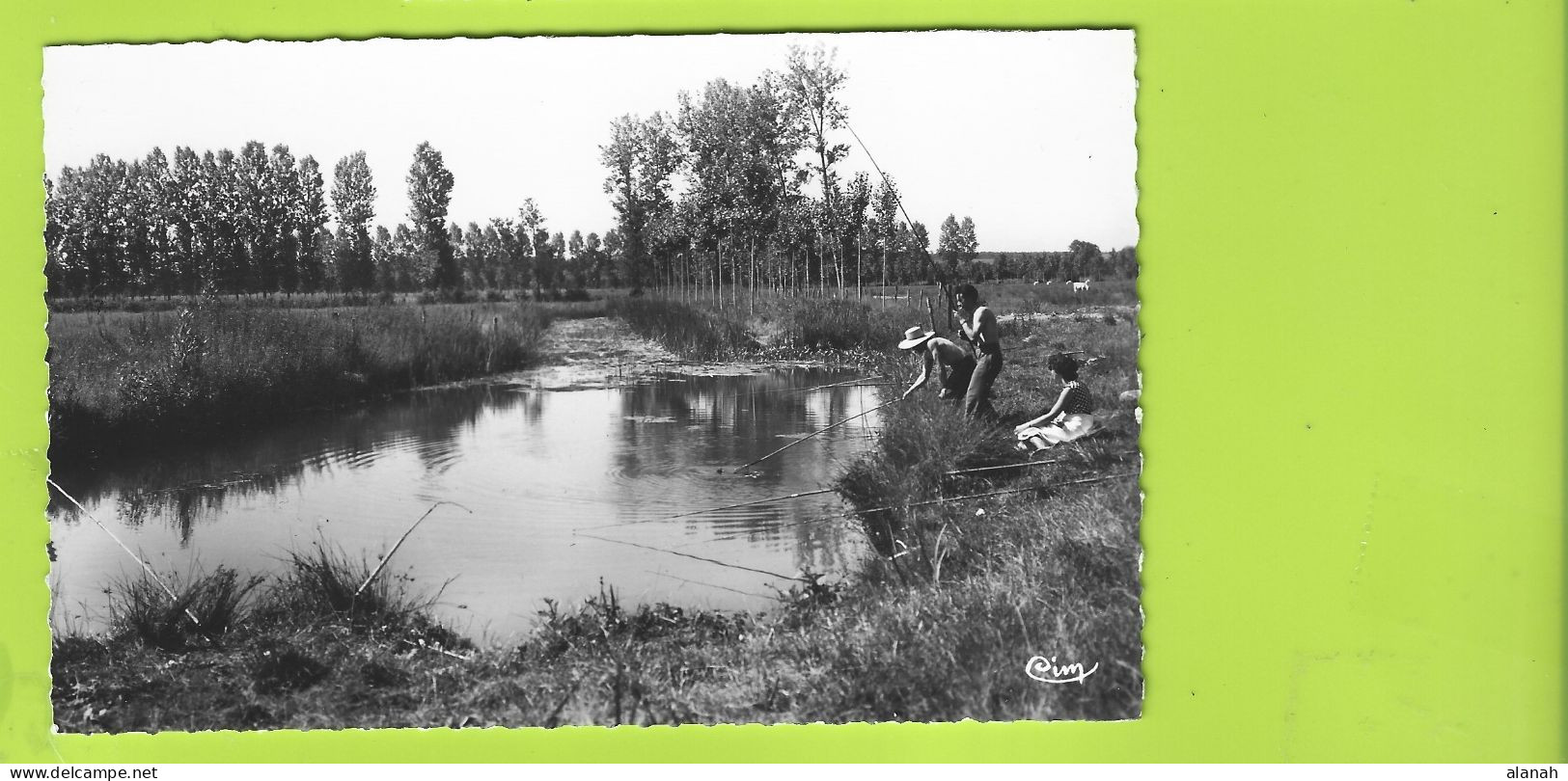 SANCERGUES Pêcheurs Dans Les Fossés De La Vauvise (Combier) Cher (18) - Sancergues