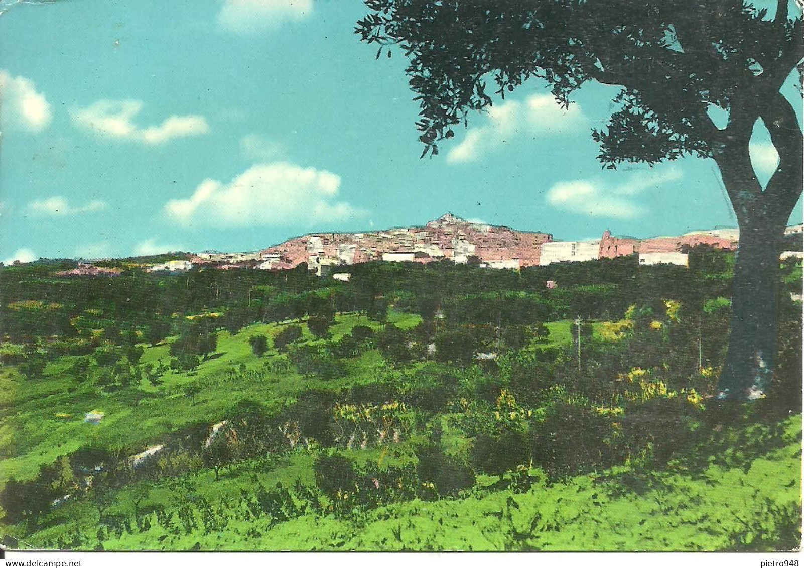 Grassano (Matera) Panorama, Panoramic View, Vue Panoramique, Ansicht - Matera