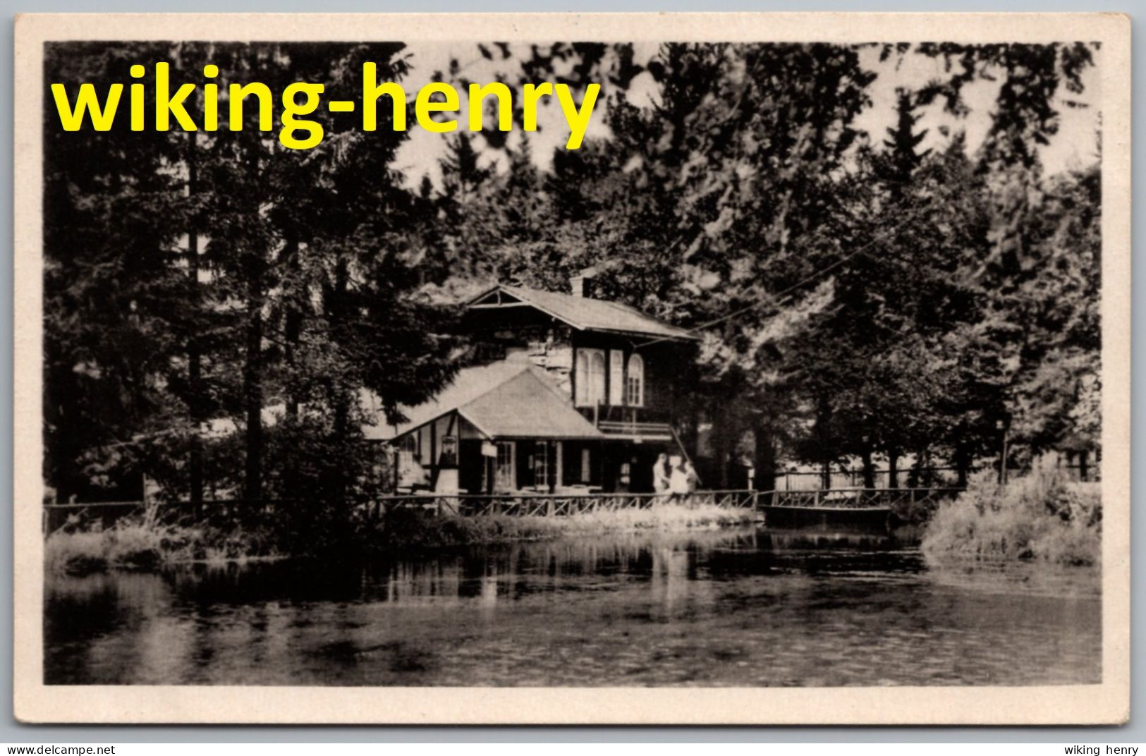 Schmiedefeld Am Rennsteig - S/w Im Kurpark - Mit Kaffeehaus Und Teich - Schmiedefeld