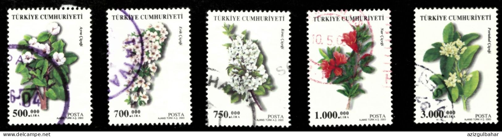 FRUIT FLOWERS 2004 - GOOD USED - Used Stamps