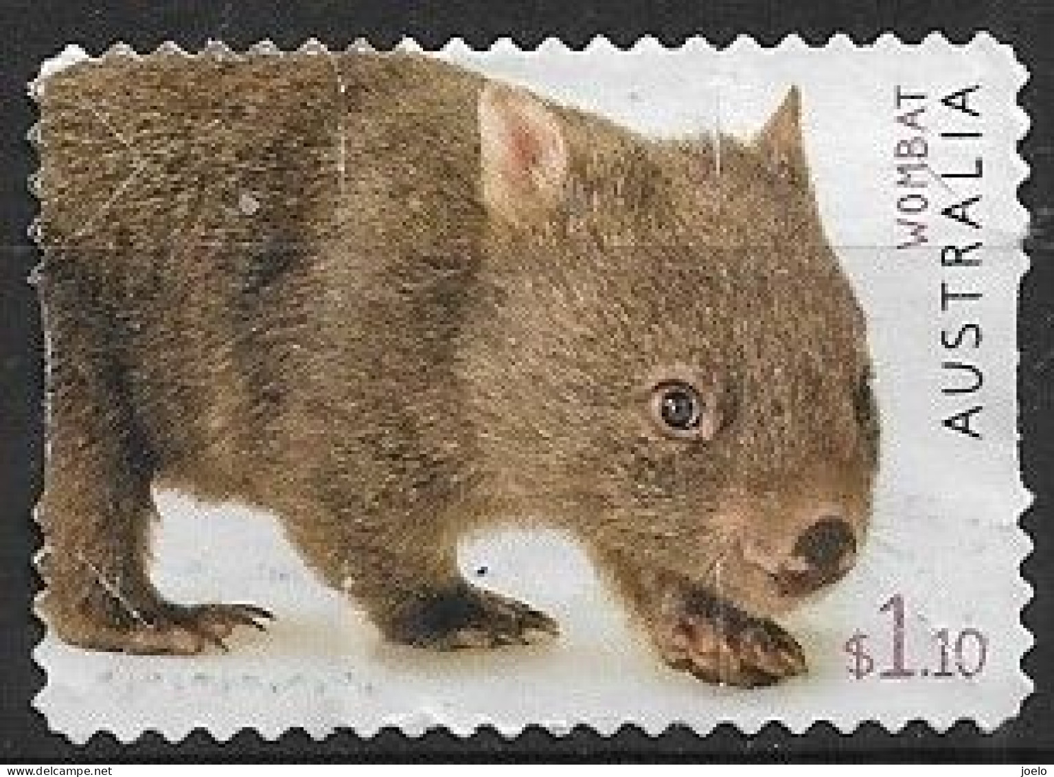 AUSTRALIA 2019 FAUNA WOMBAT $1.10 - Used Stamps