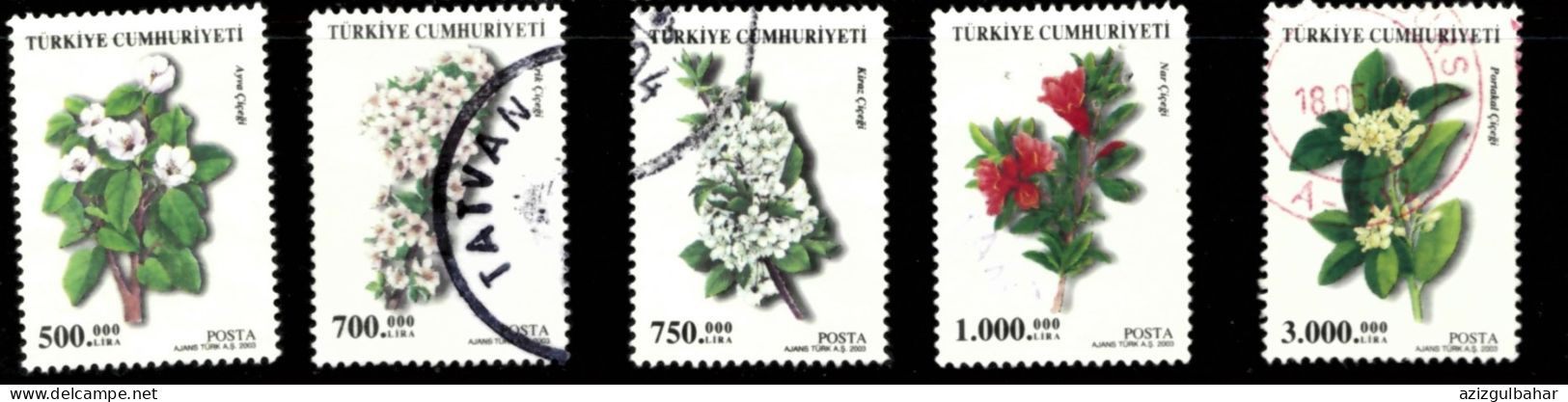 FRUIT FLOWERS 2004 - GOOD USED 03 - Used Stamps