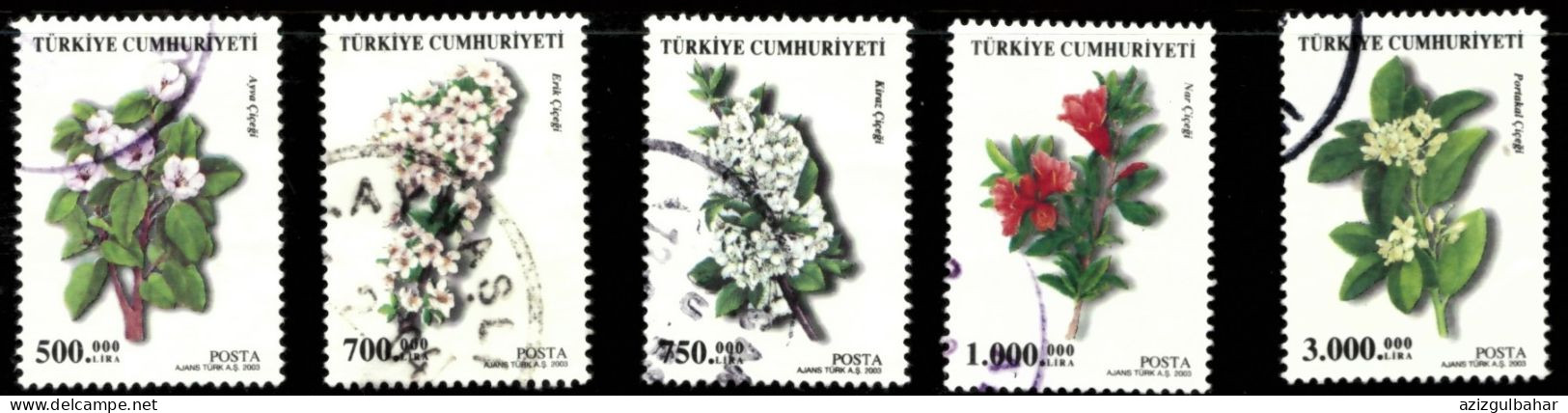 FRUIT FLOWERS 2004 - GOOD USED 04 - Used Stamps