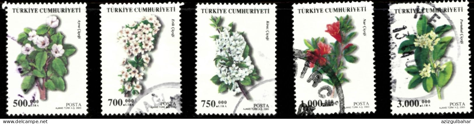 FRUIT FLOWERS 2004 - GOOD USED 05 - Used Stamps