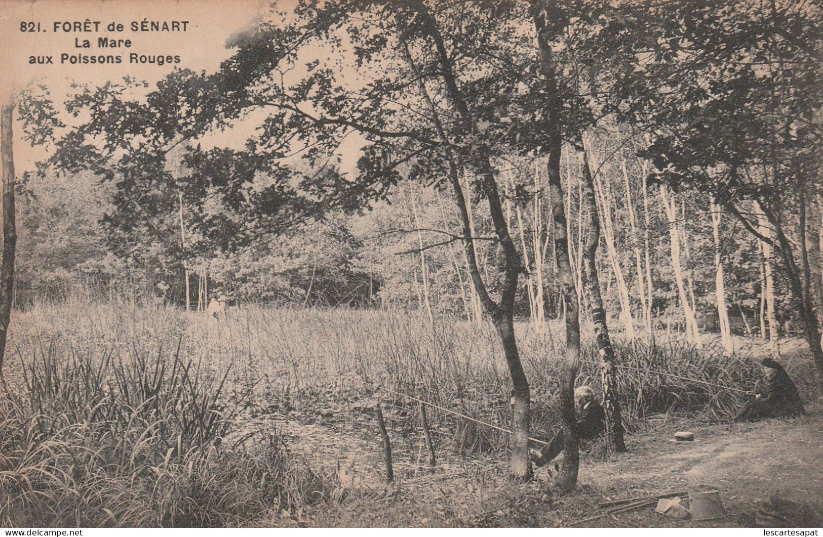 Foret De Senart La Mare Aux Poissons Rouges - Sénart