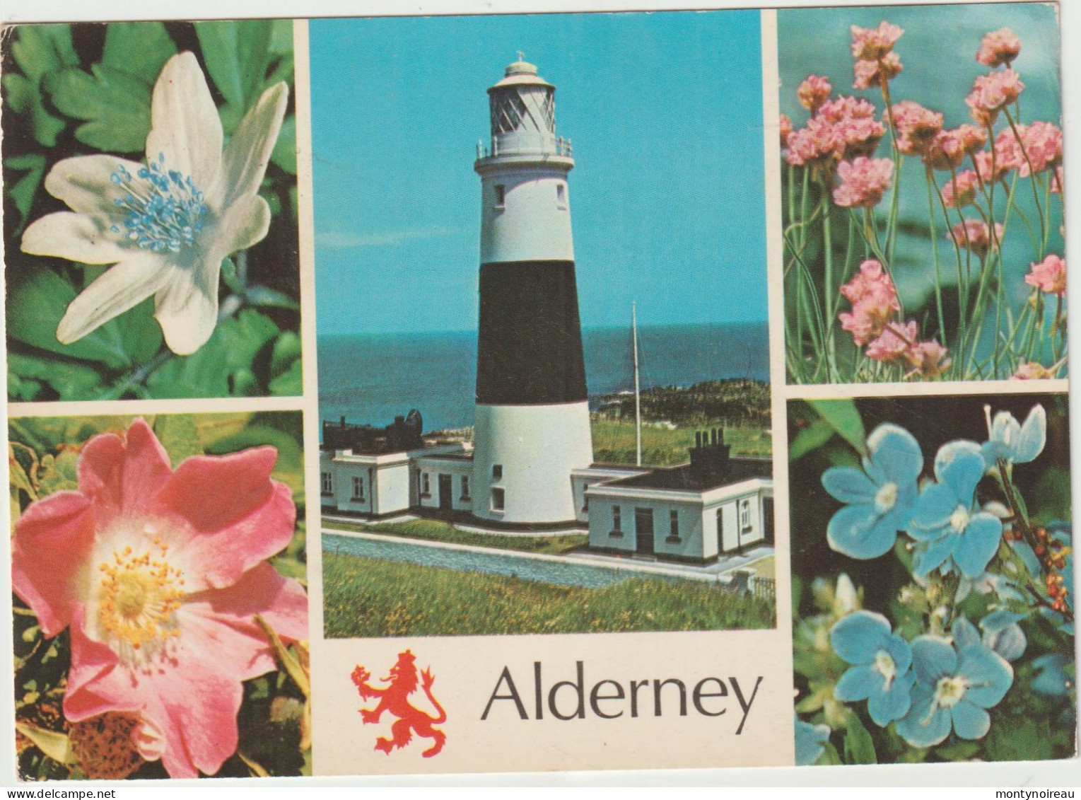 Dav : GUERNSEY : Vue    ALDERNEY , Phare  , Fleurs - Guernsey