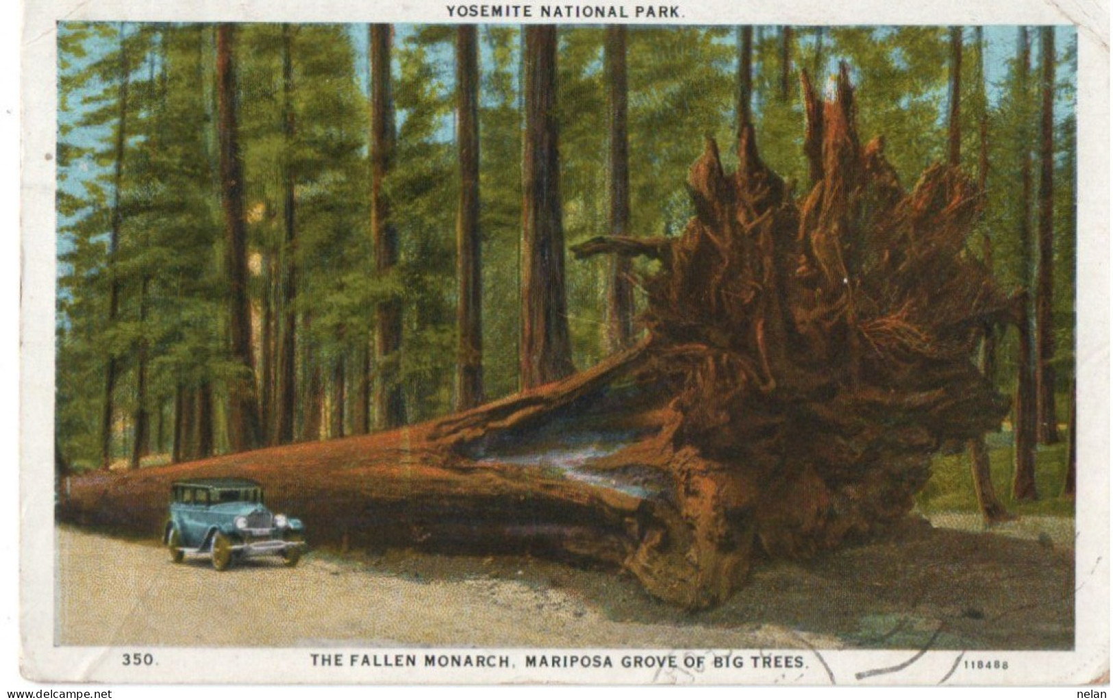 THE FALLEN MONARCH , MARIPOSA GROVE OF BIG TREES - YOSEMITE NATIONAL PARK - Yosemite