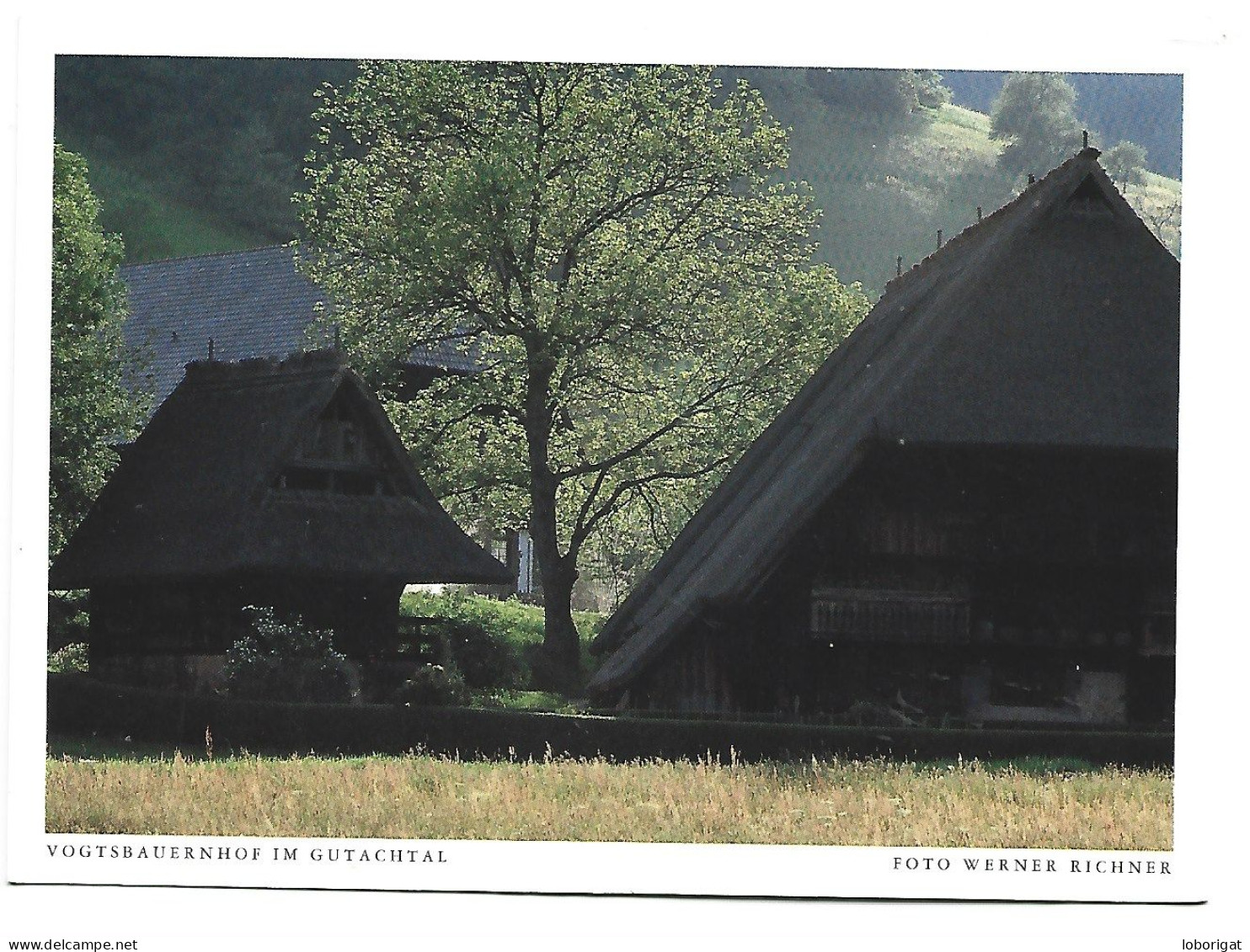 VOGTSBAUERNHOF IM GUTACHTAL.-  ( ALEMANIA) - Gutach (Schwarzwaldbahn)