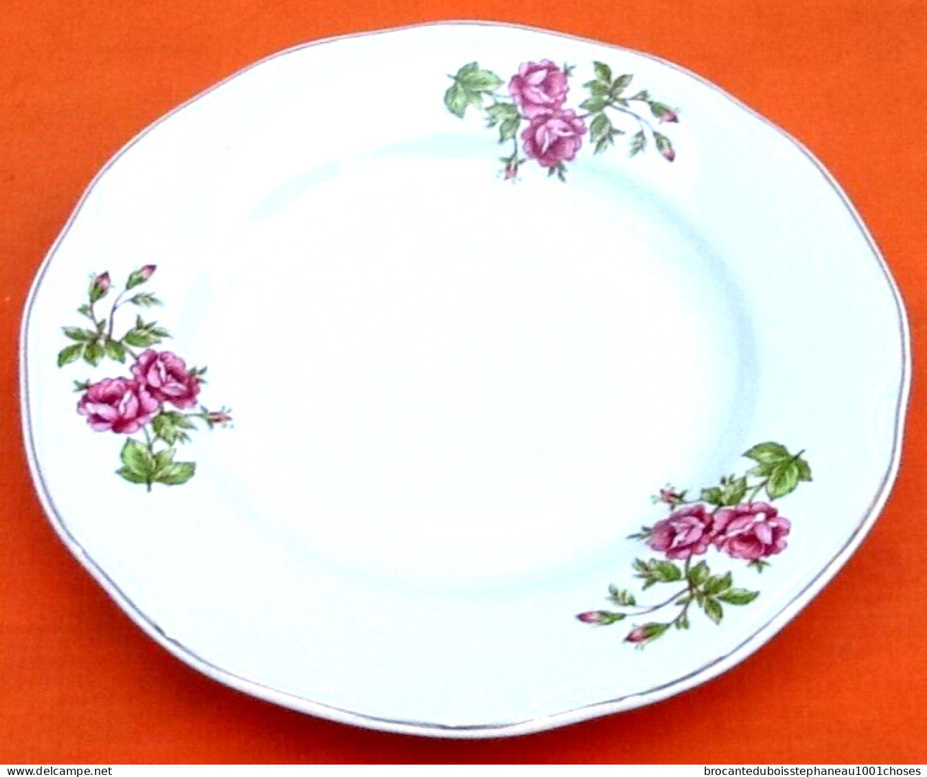 6 Assiettes à Fromage / Dessert Porcelaine Blanche Décor Floral - Other & Unclassified