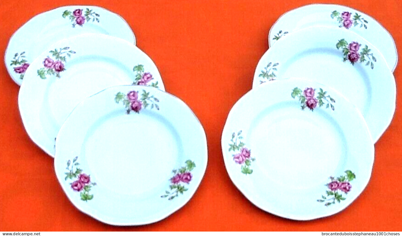 6 Assiettes à Fromage / Dessert Porcelaine Blanche Décor Floral - Autres & Non Classés