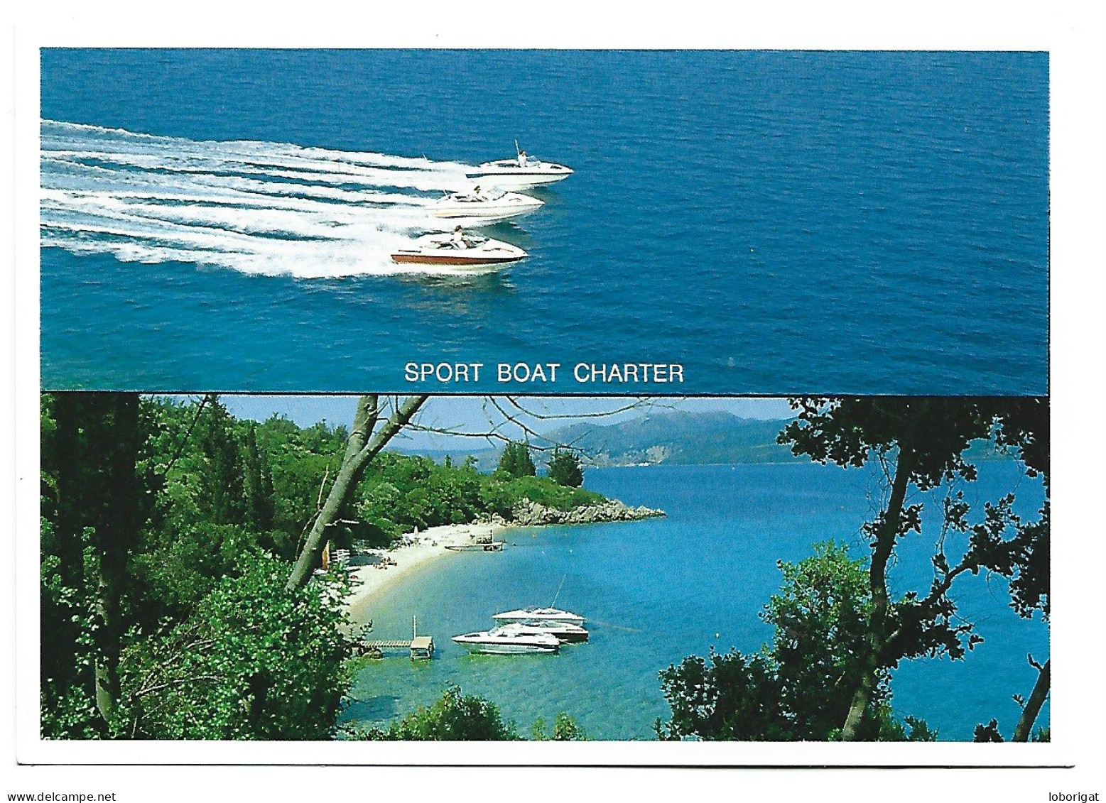 SPORT BOAT CHARTER.- NIKIANA LEFKADA.-  ( GRECIA ) - Skateboard