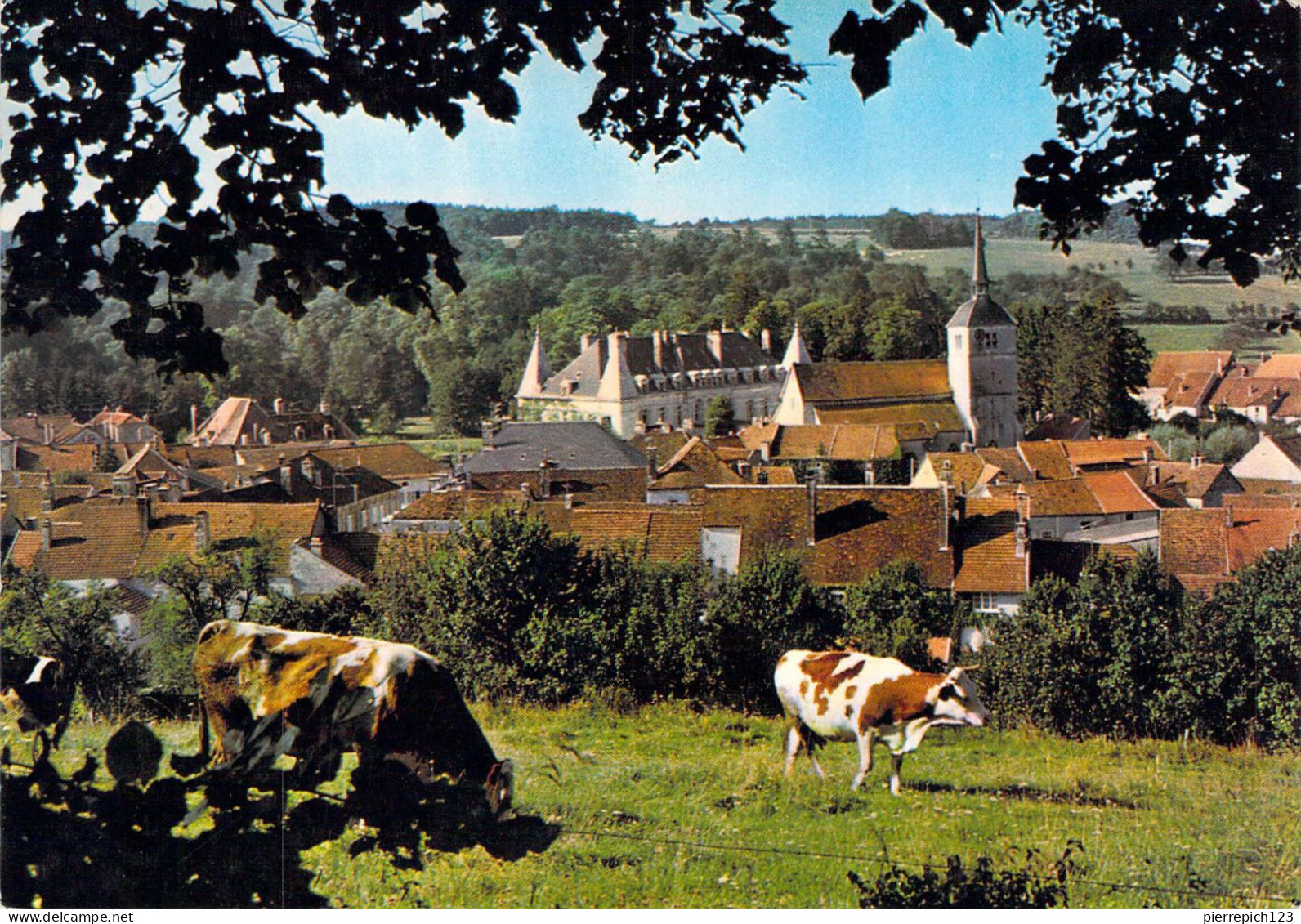 52 - Arc En Barrois - Vue Prise De La Motte - Arc En Barrois