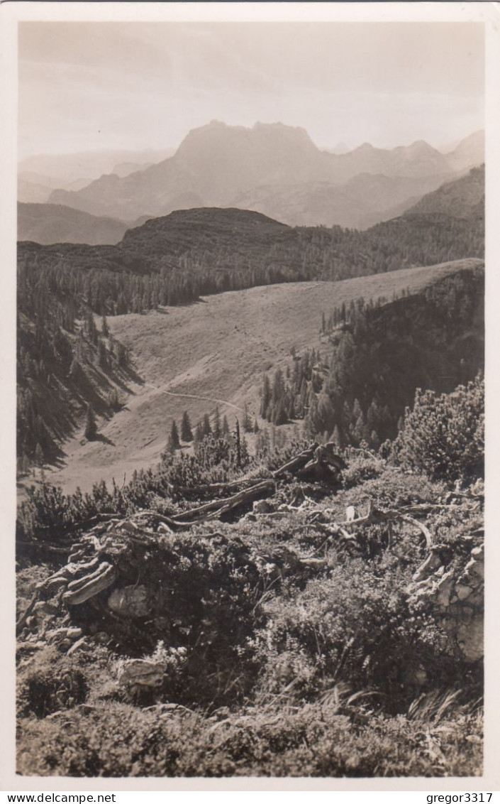 D5532) LOFER - Haus  GETRAUD In Der Sonne - Lofereralpe B. Lofer Salzburg - Lofer