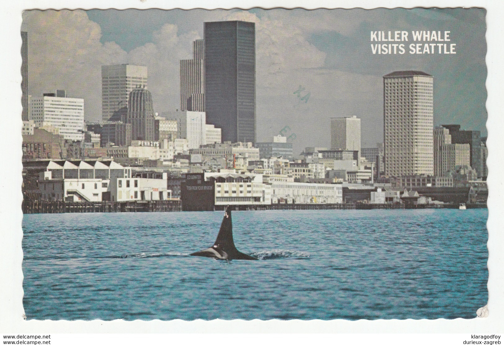 Killer Whale Visits Seattle Postcard Posted 1978 B200520 - Seattle