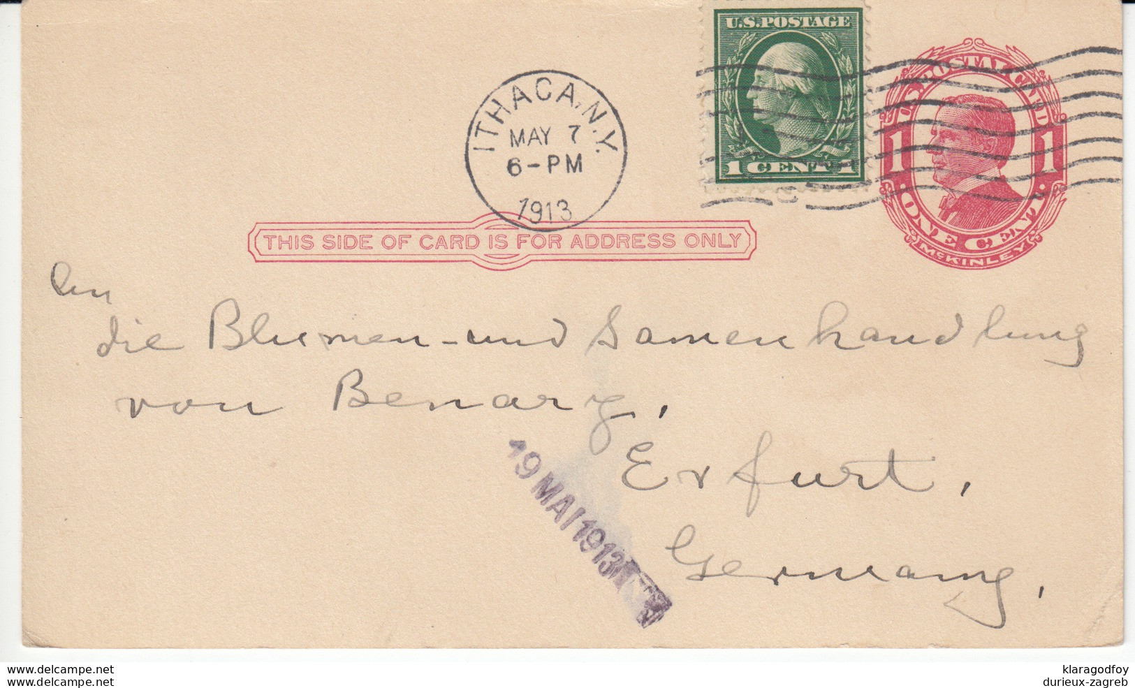 US Postal Stationery Postcard Travelled 1913 Ithaca, NY To Erfurt, Germany UX24 McKinley Bb161110 - 1901-20