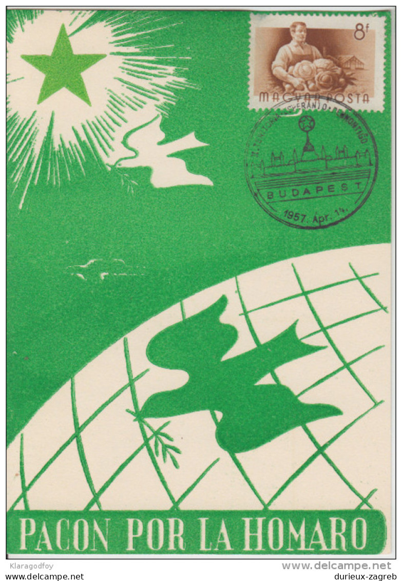 Esperanto Budapest 1957 7 Special Cards Not Travelled B160711 - Esperanto