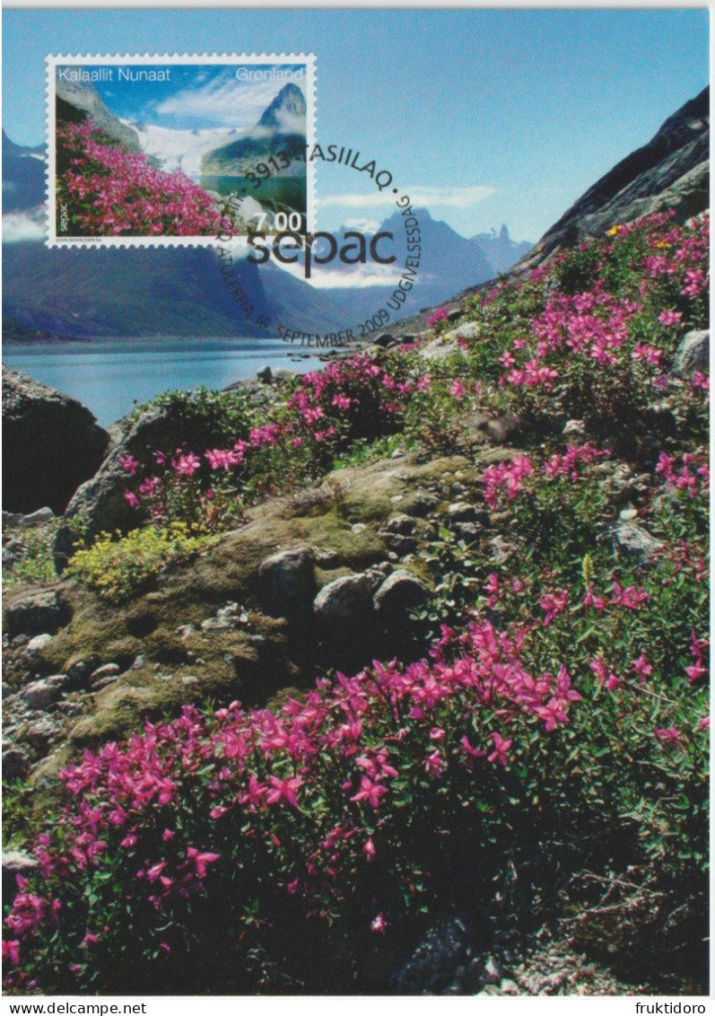 Greenland Maximum Card Mi 541 SEPAC - Scenery II - Mountains - Glaciers 2009 - Maximumkarten (MC)