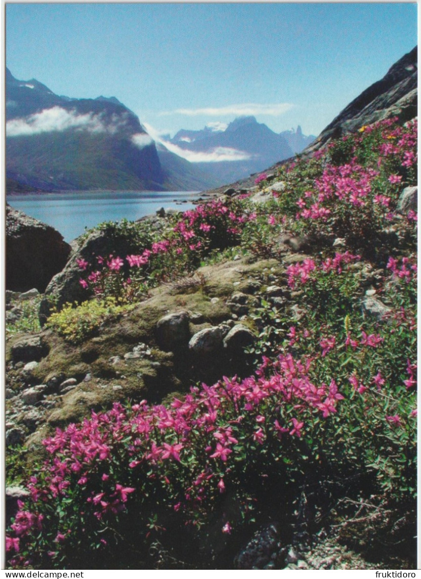 Greenland Card 428 Issued For Mi 541 SEPAC - Scenery II - Mountains - Glaciers 2009 - Cartas Máxima