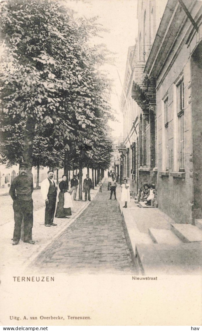 Terneuzen Nieuwstraat 2438 - Terneuzen