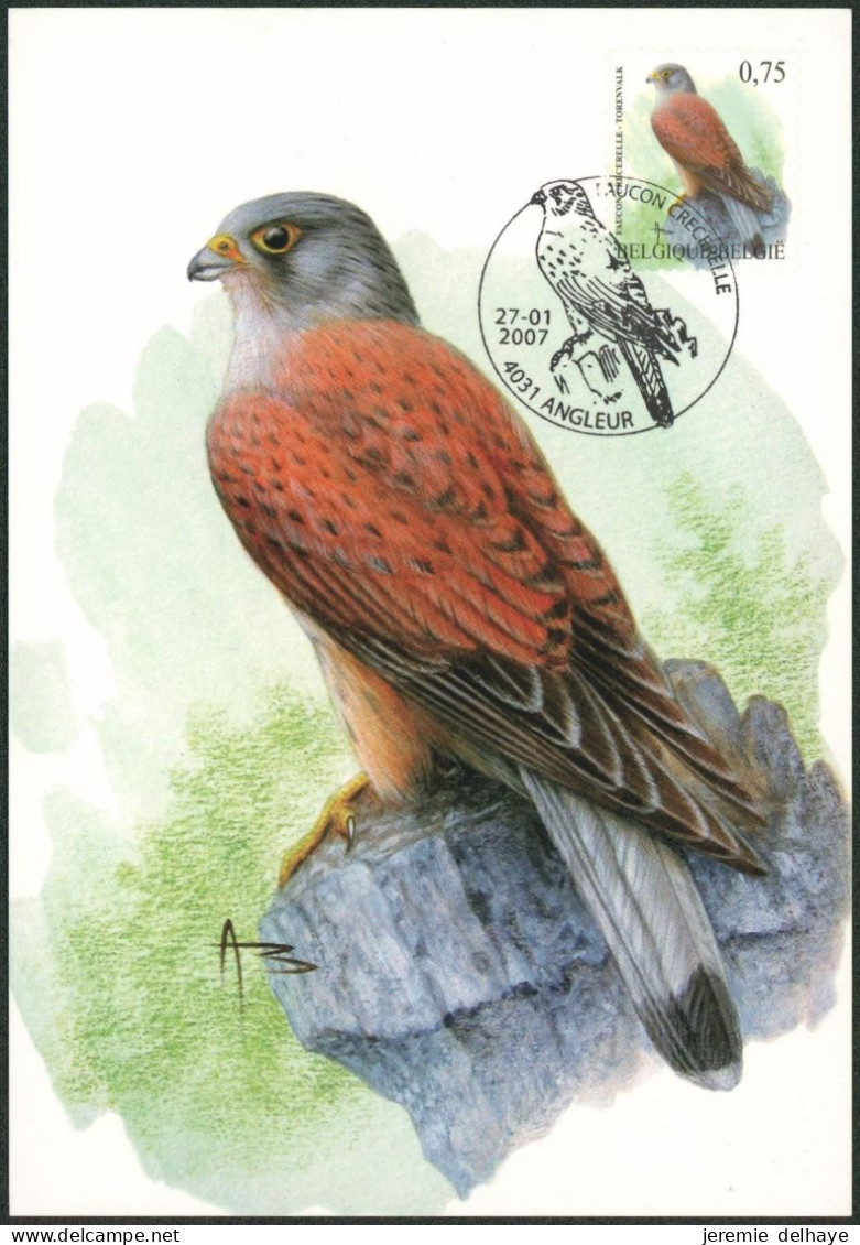 Carte-maximum (CM) - N°3608/09 Oiseaux (Buzin) / Complet - 2001-2010