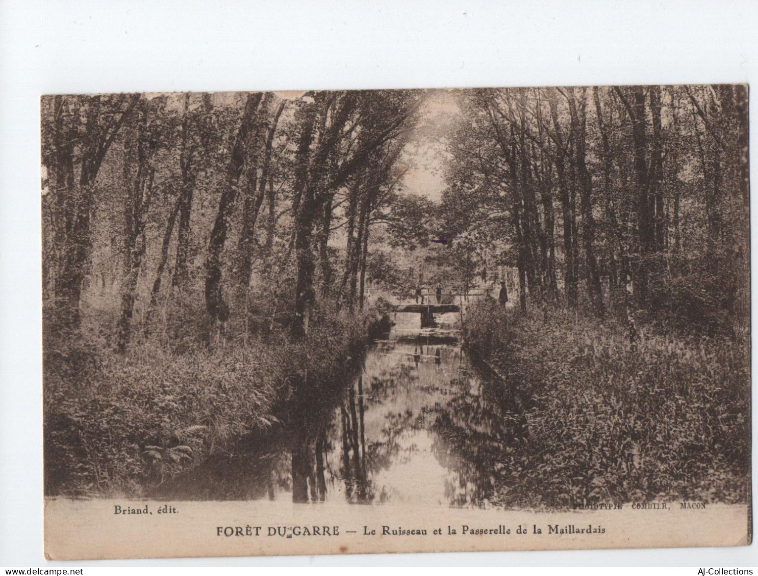 AJC - Foret Du Gavre Le Ruisseau Et La Passerelle De La Maillardais - Le Gavre