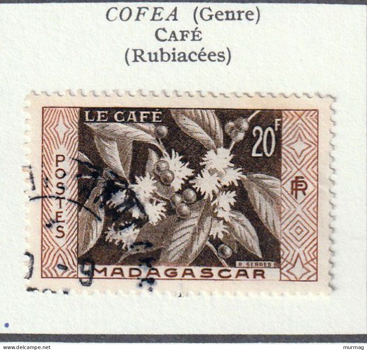 MADAGASCAR - Café (rubiacées) - Y&T N° 331 - 1956 - Oblitéré - Usati