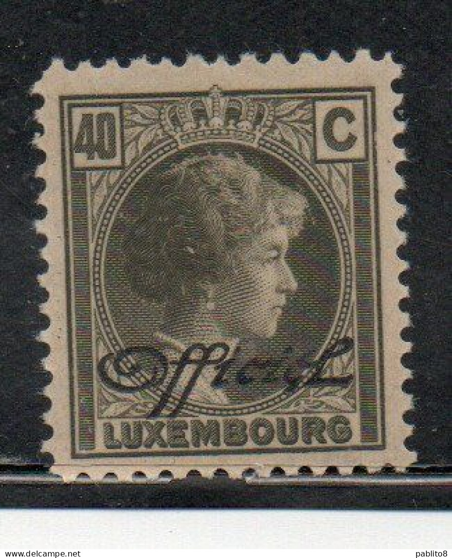 LUXEMBOURG LUSSEMBURGO 1928 1935 SURCHARGE OFFICIEL 40c MH - Service