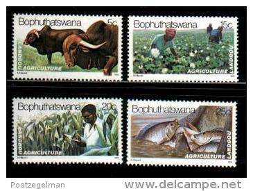 BOPHUTHATSWANA, 1979, MNH Stamp(s), Agriculture, Nr(s)  51-54 - Bophuthatswana