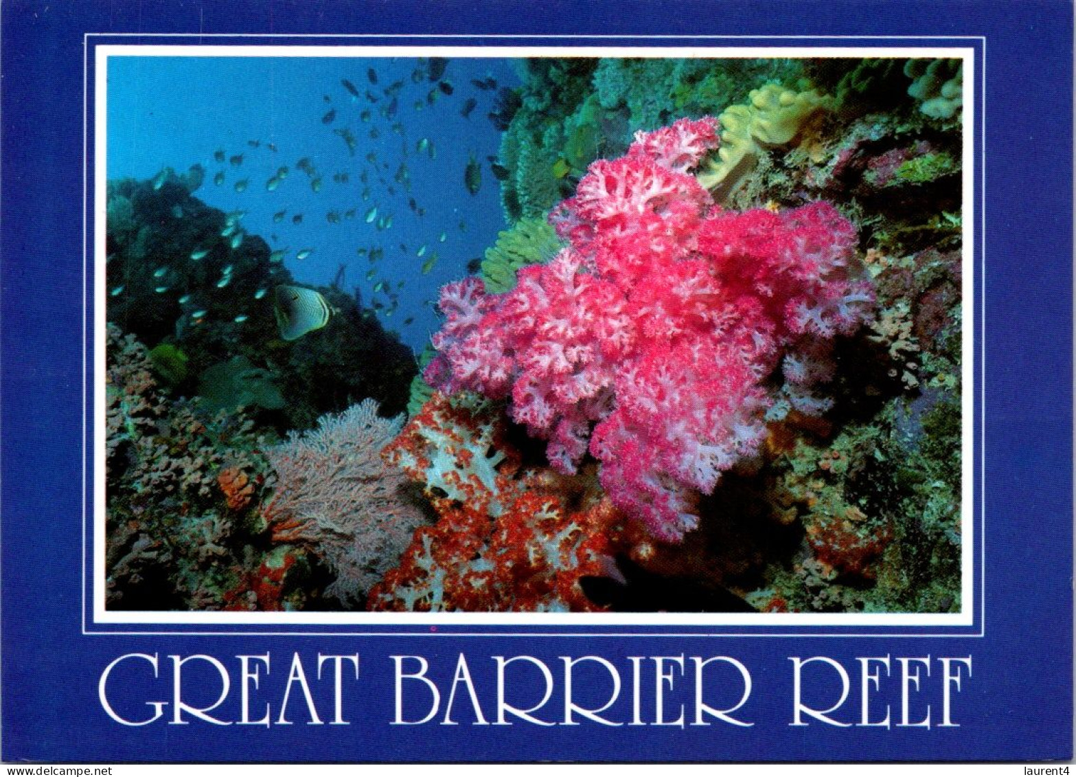 1-10-2023 (3 U 1) Australia - QLD - Great Barrier Reef (UNESCO) (posted With Kangaroo Stamp) - Great Barrier Reef