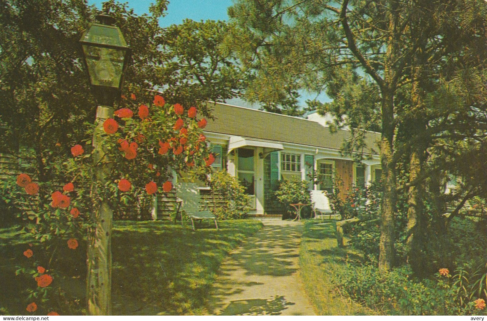 Cottage Midst The Roses, Cape Cod, Massachusetts - Cape Cod