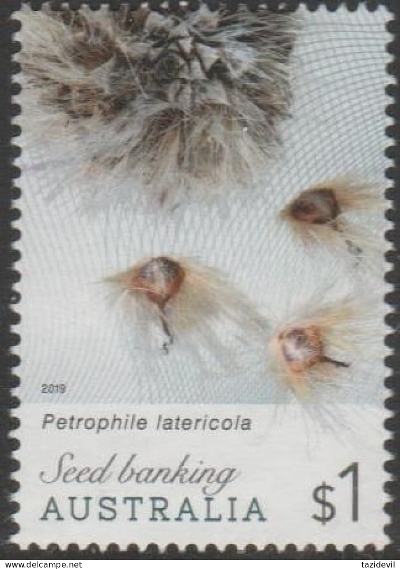 AUSTRALIA - USED 2019 $1.00 Seed Banking Australia - Petrophile Latericola - Used Stamps