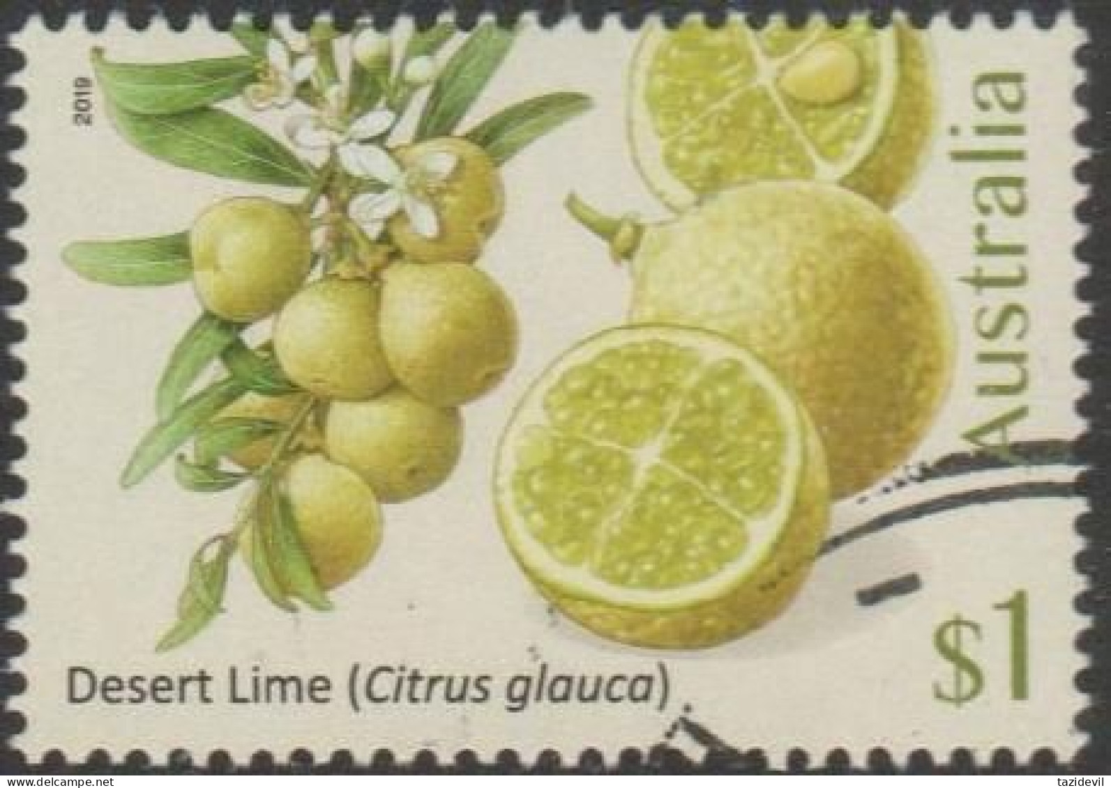 AUSTRALIA - USED 2019 $1.00 Bush Citrus - Desert Lime - Used Stamps