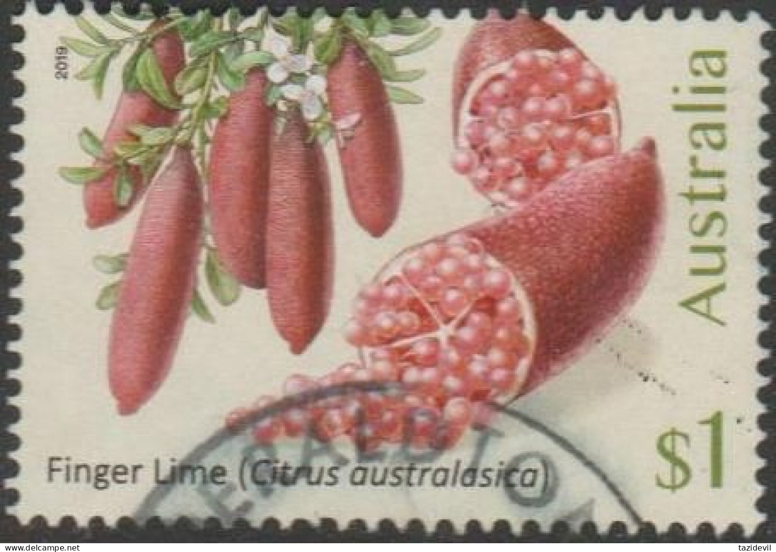 AUSTRALIA - USED 2019 $1.00 Bush Citrus - Finger Lime - Used Stamps